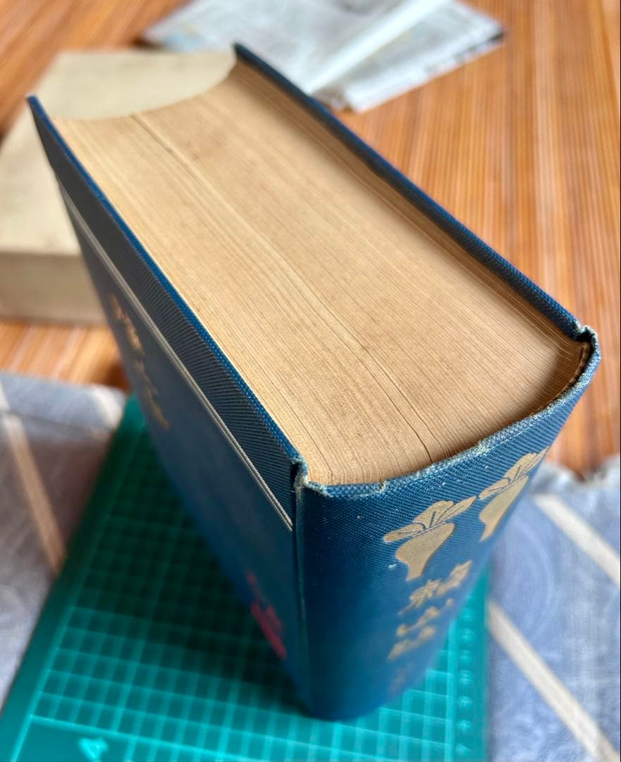 頼山陽 坂本辰之助 著 敬文館 大正2年4月15日