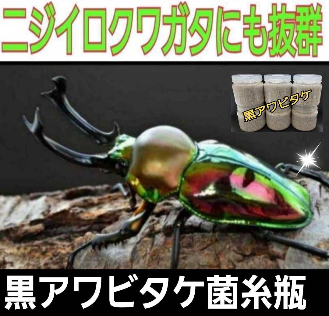 ニジイロクワガタにお薦め！極上！黒アワビタケ菌糸瓶【8本】トレハロース強化配合！