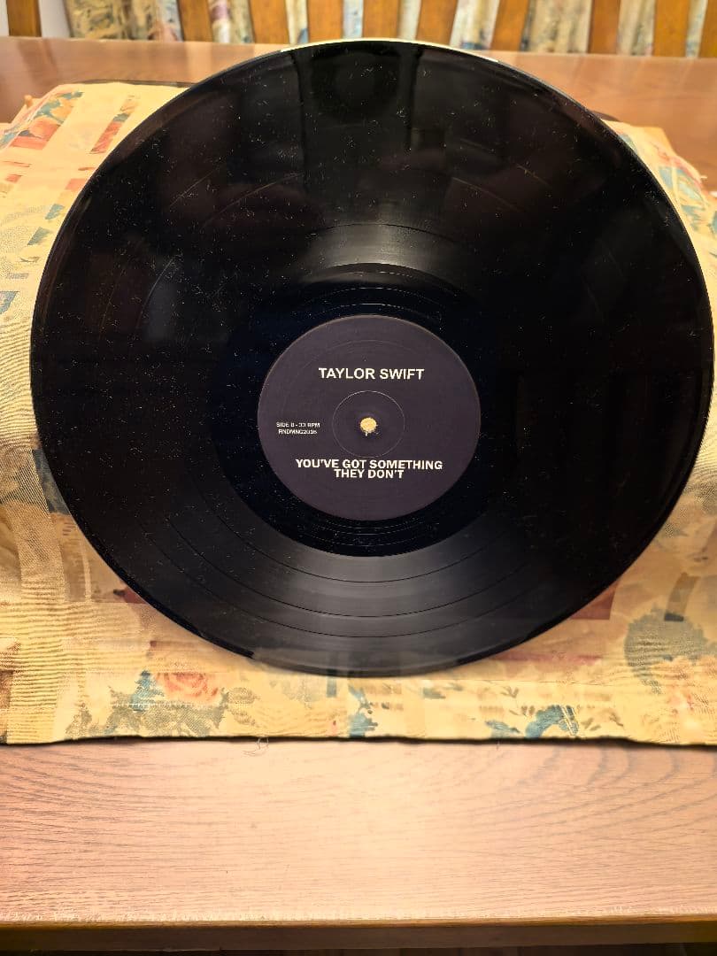 洋楽 Taylor Swift_You've Got Sth They Don'tLP