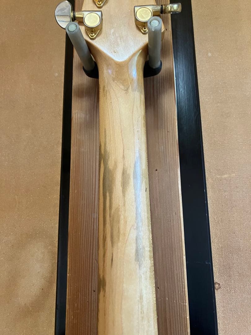 FERNANDES APG50? エレキギター ブラック