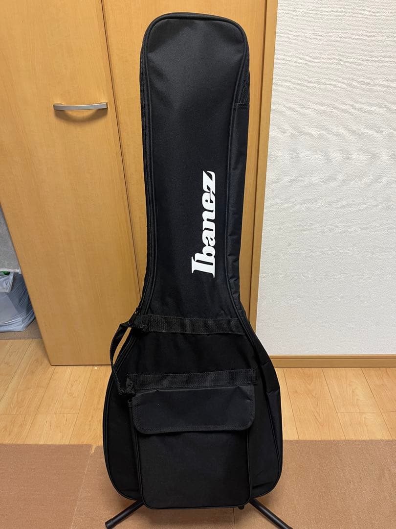 Ibanez GIO　エレキギター(付属品も付いてます)