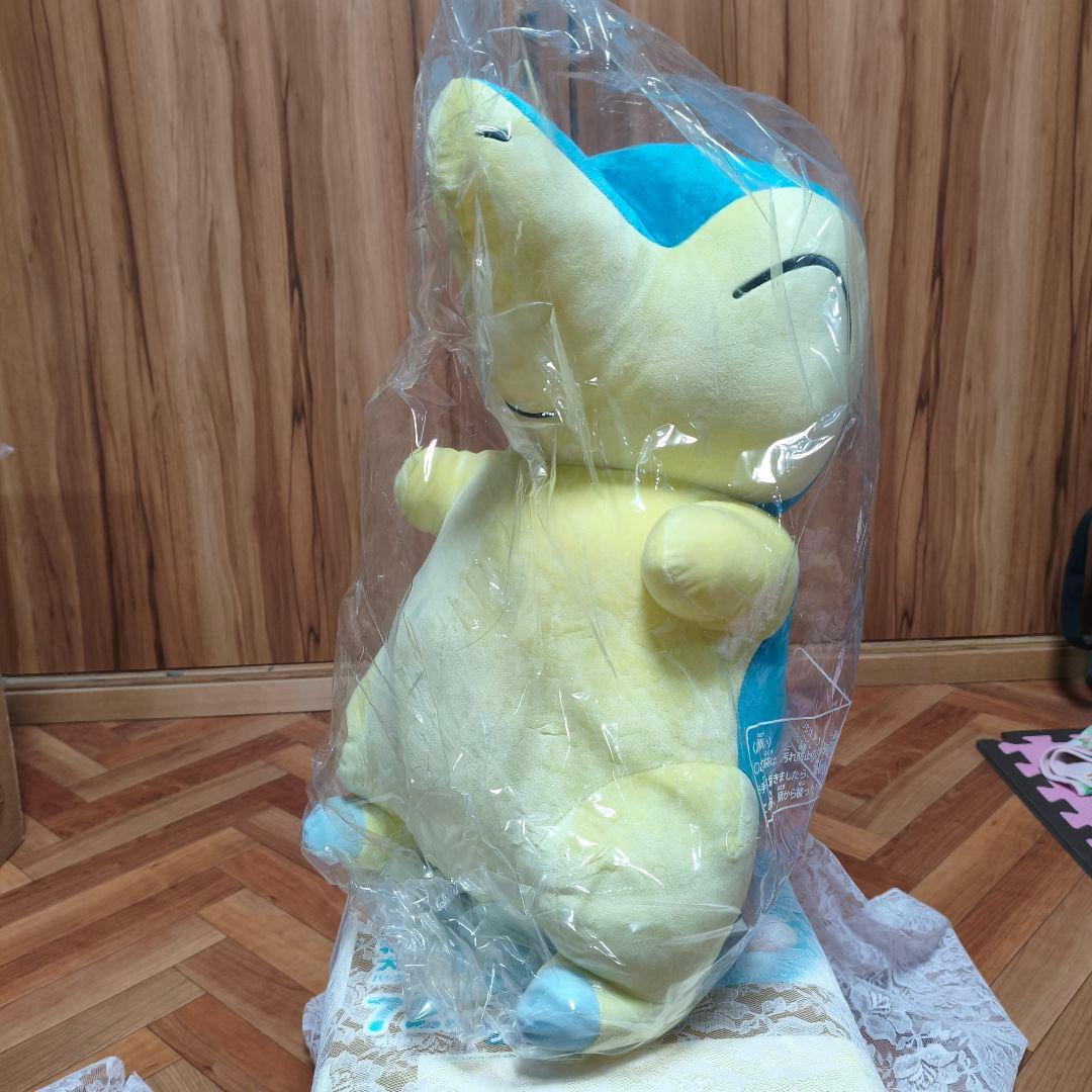 ヒノアラシ等身大ぬいぐるみタグ付き新品未開封ポケモンセンター限定