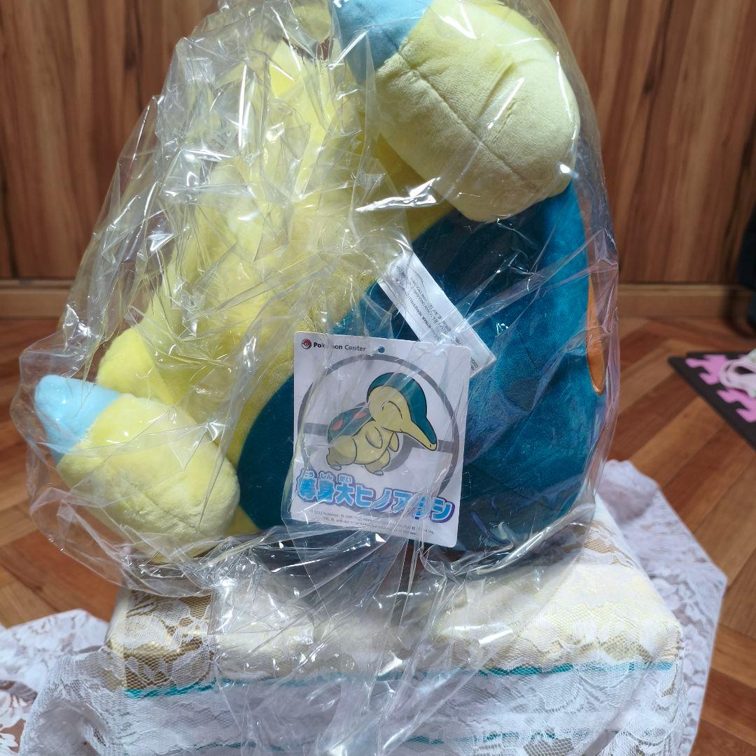 ヒノアラシ等身大ぬいぐるみタグ付き新品未開封ポケモンセンター限定