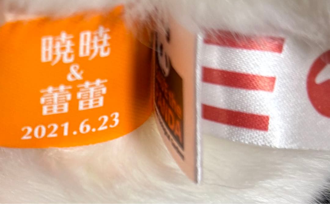 【タグ付き新品】上野動物園　パンダ　レイレイ　抱っこぬいぐるみ