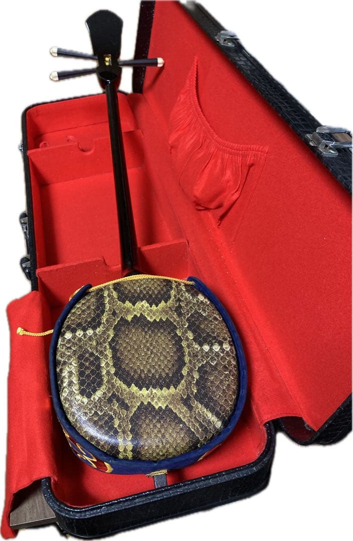 三味線 沖縄 楽譜付 合皮 クロコダイルケース付 楽器 ケース