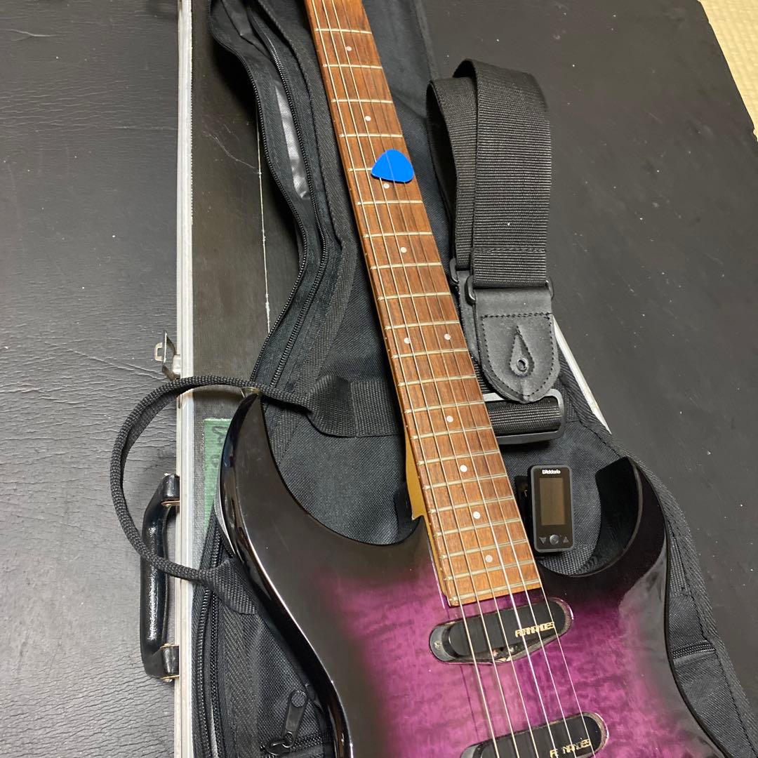 FERNANDES FGZ400 トレモロアーム・ケース付