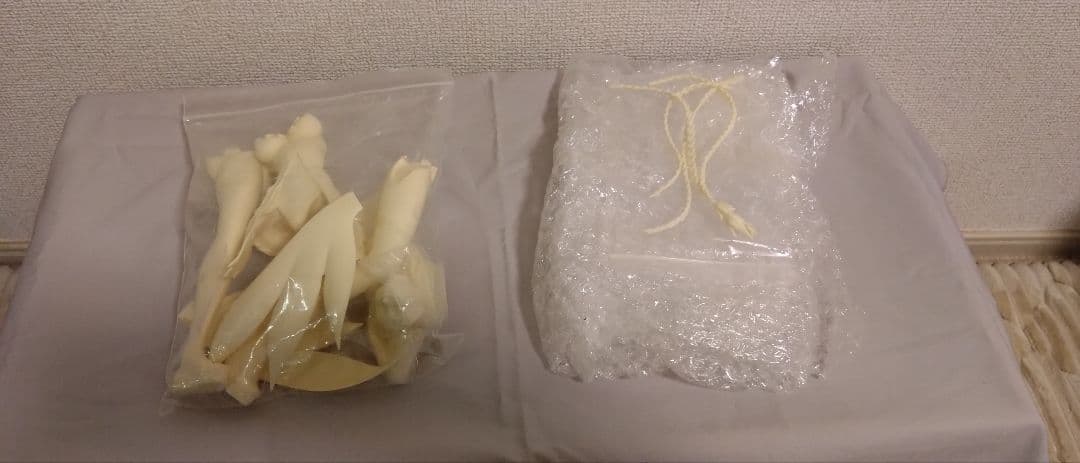 1/6　マグナカルタ　リース　ガレージキット