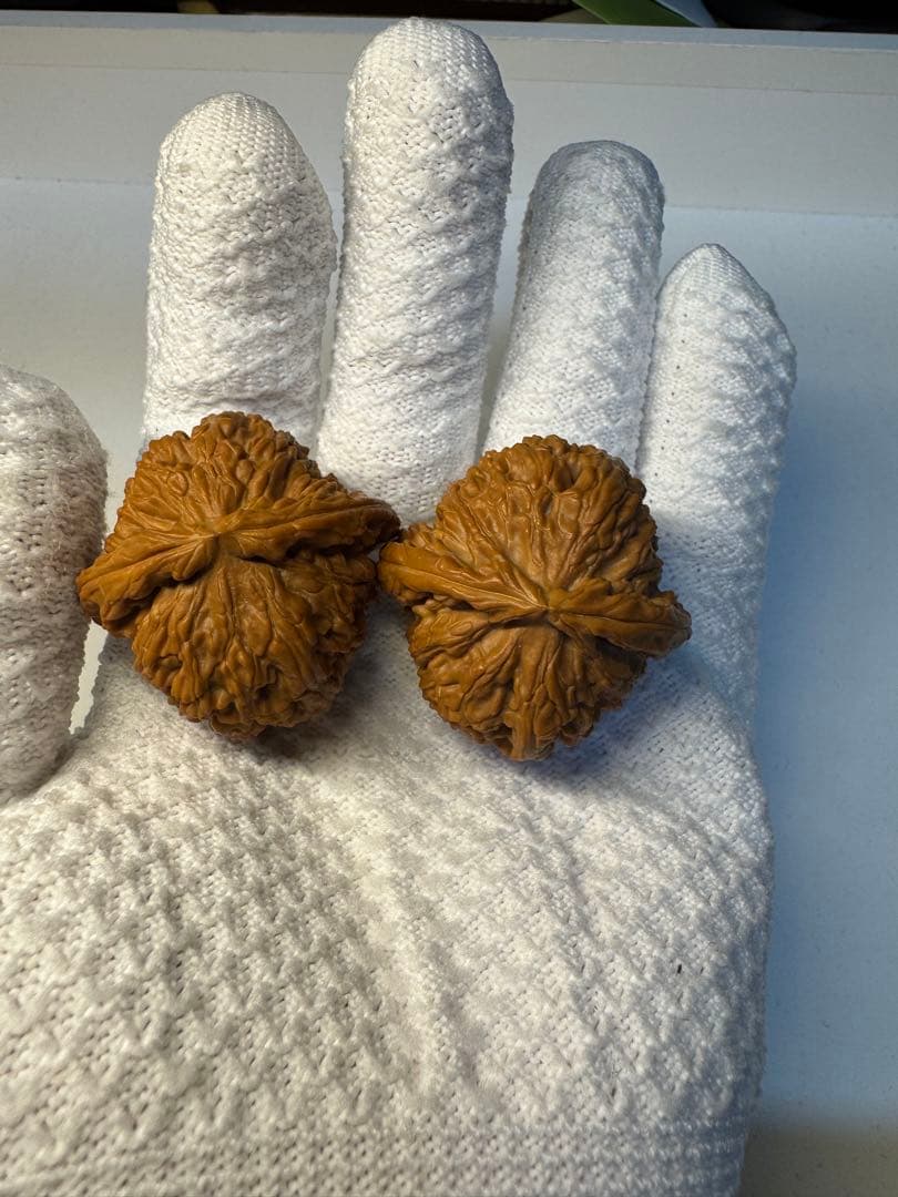 文玩核桃 三角白獅子