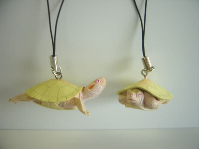 ♯Gyi16RZネイチャーテクニMONOミドリガメストマグネット変則4種