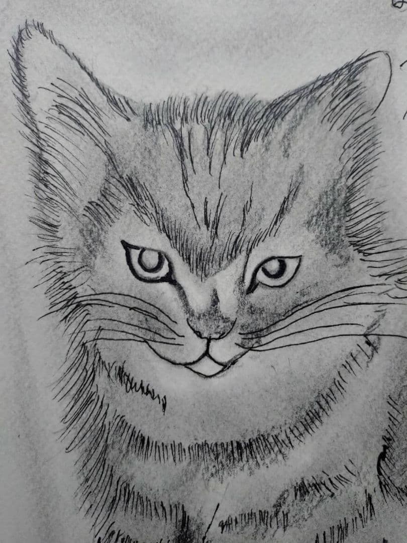 藤田嗣治【座る子猫】手描き作品/表裏サイン・鑑定書有り/鉛筆/逸品/額縁/額装