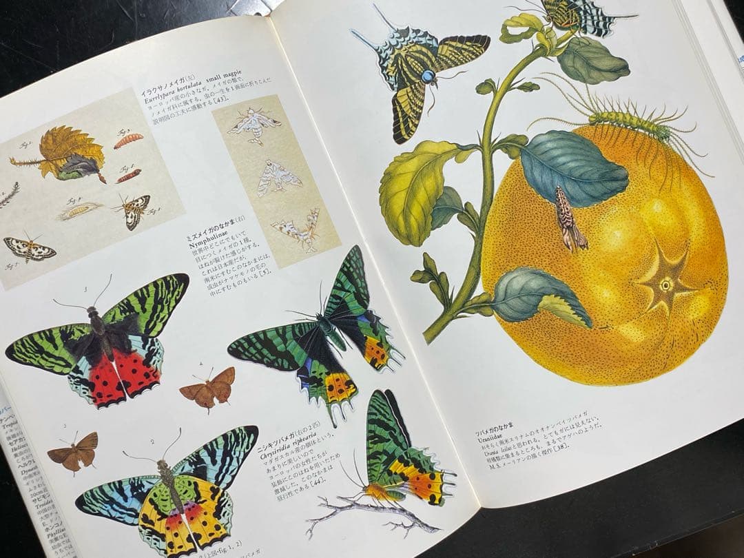 世界大博物図鑑（平凡社）全5巻