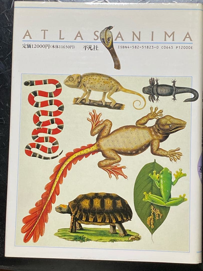 世界大博物図鑑（平凡社）全5巻