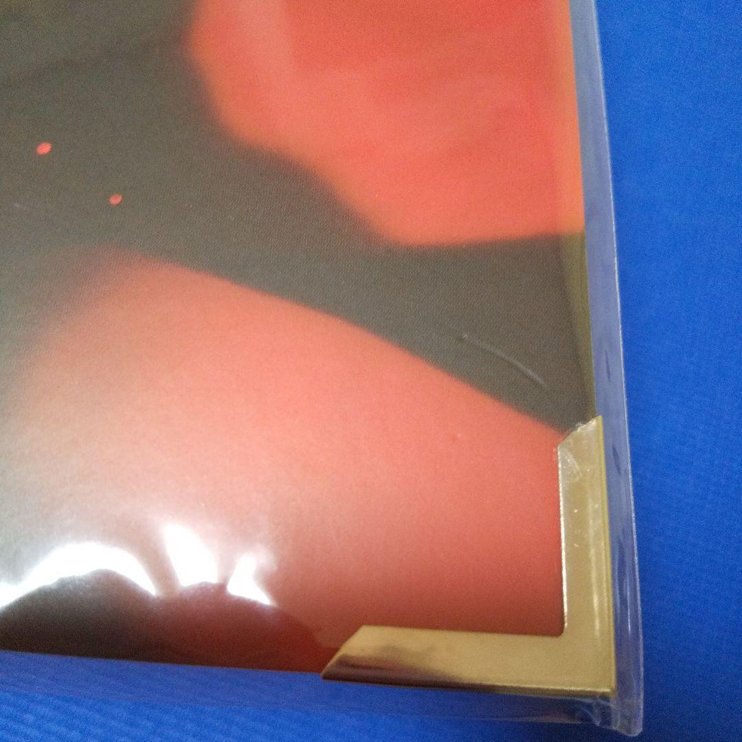 SEVENTEEN HOSHI SPIDER グッズ