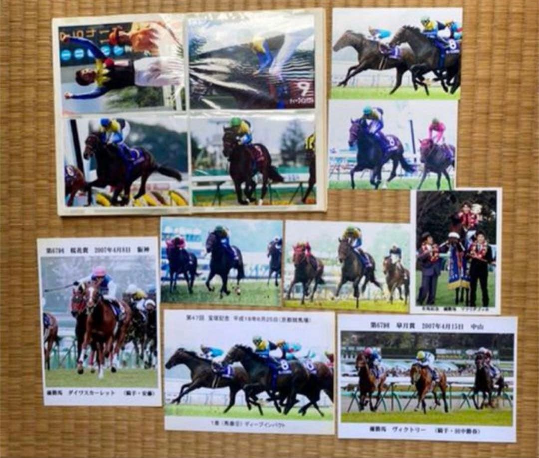JRA 競馬 写真集