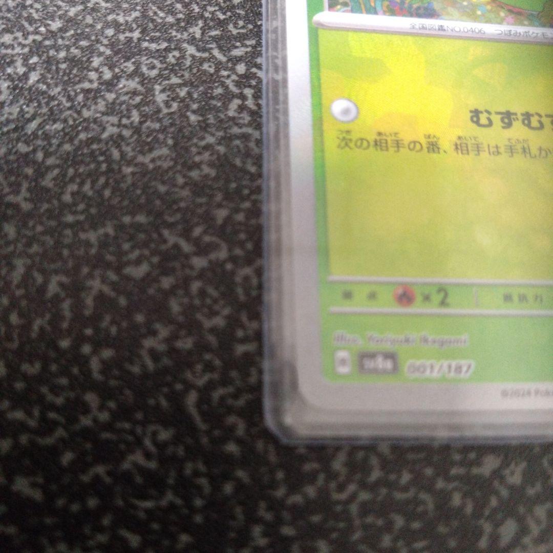 リーフィア 　マスターミラーPSA10＋スボミーマスターミラー