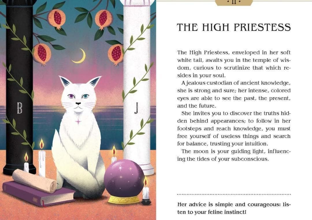 【正規品タロットカード】海外人気デッキ✨魔法のような神秘的な猫に導かれるデッキ