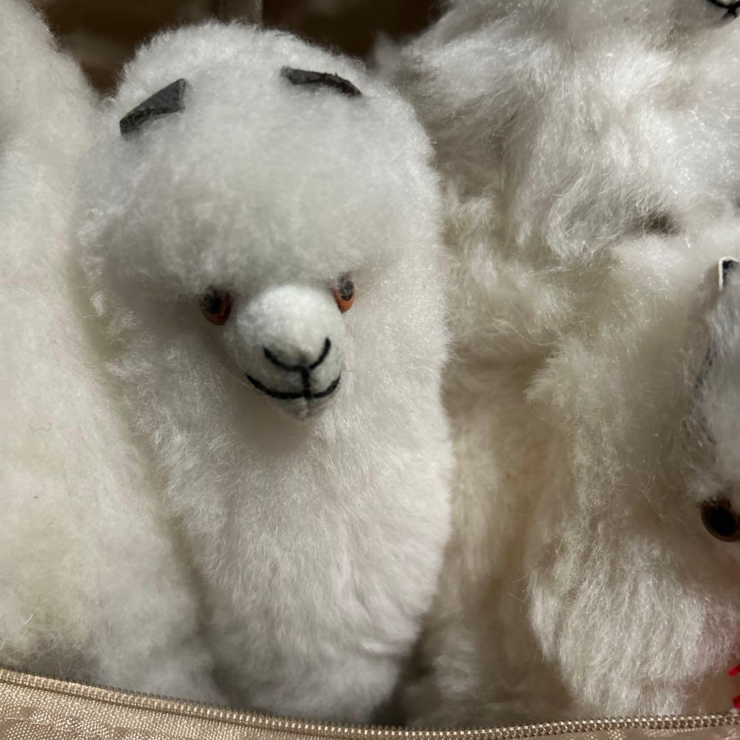 ペルー現地購入　アルパカぬいぐるみ5点セット