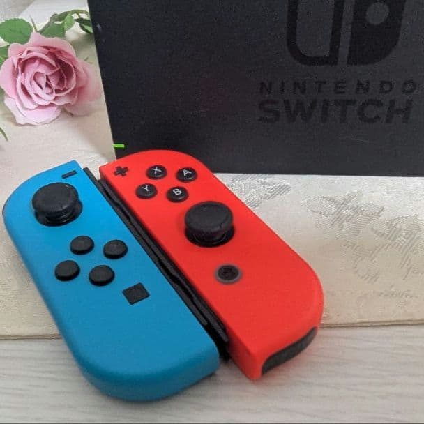 Nintendo Switch 本体 SDカード内蔵 専用ケース付き