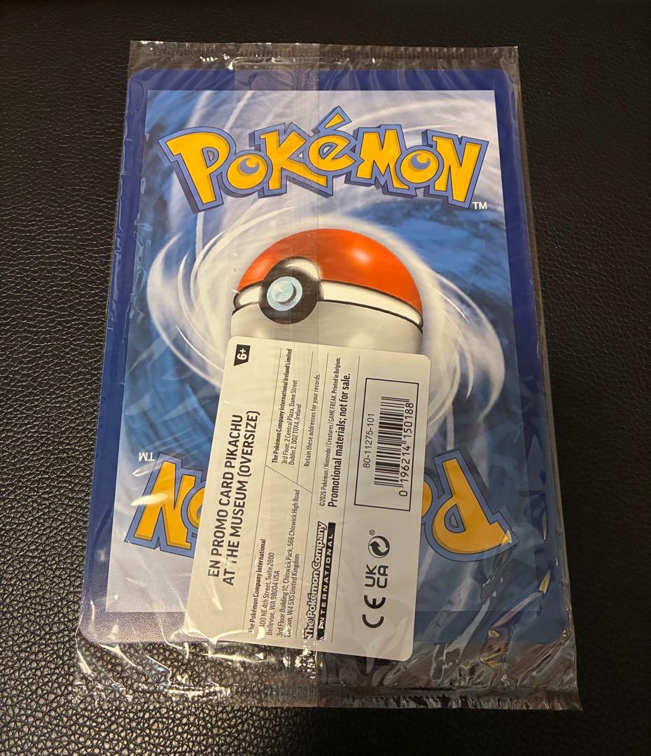 Pikachu at the Museum ピカチュウ ロンドン自然史博物館16