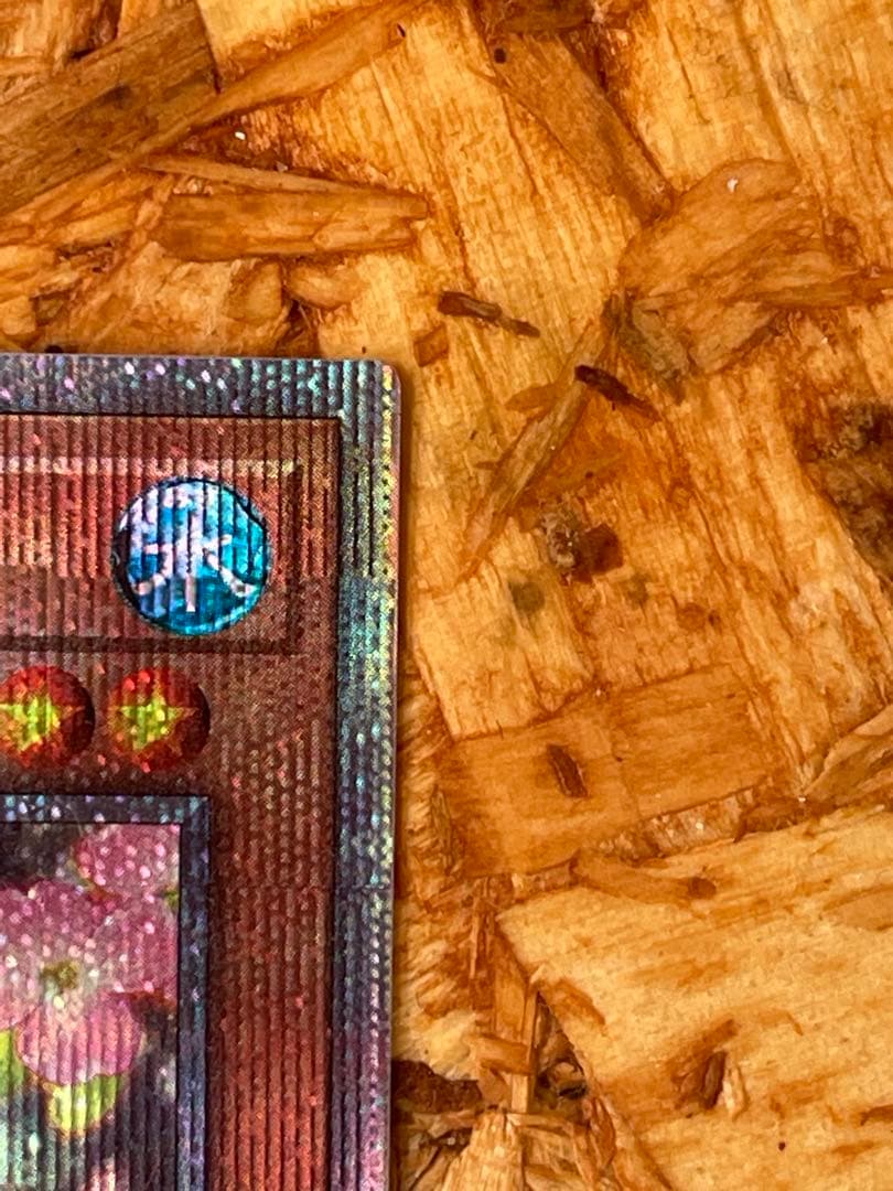 遊戯王 儚無みずき　20thシークレットレア