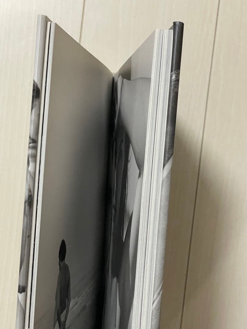 アート・デザイン・音楽 THE END: MONTAUK, N.Y. by MICHAEL DWECK