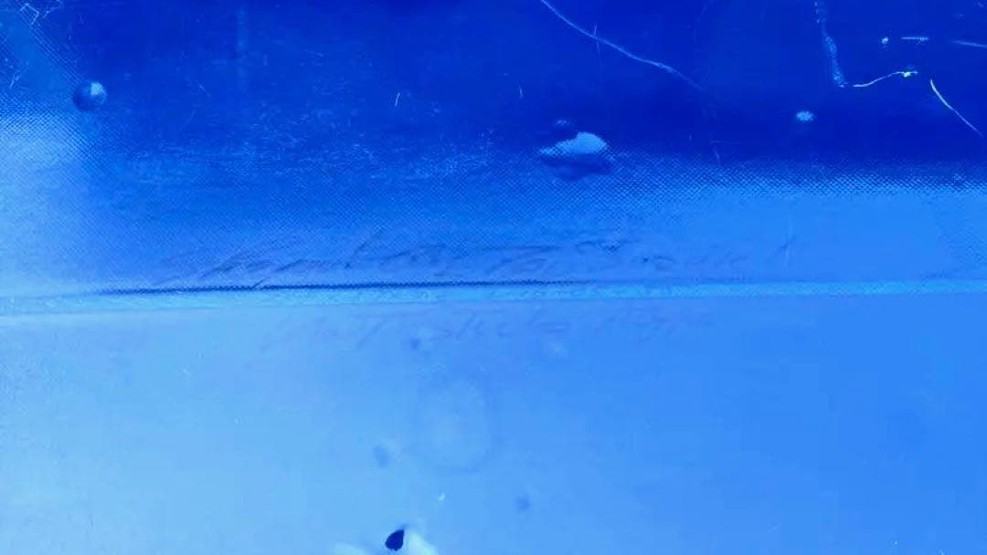 ゴッデス ホットスティックAタイプ goddess 約260cm ミッドレングス