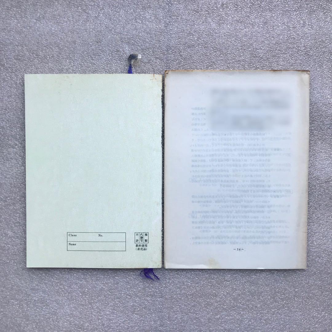 【不定期値下げ中】【超入手困難】「日本史必勝法」,「日本史記述・論述」　白井明