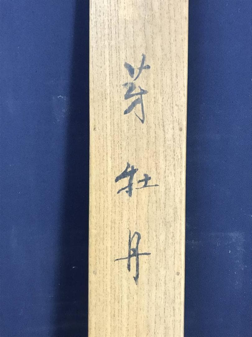 【真作】藤井松山/芽牡丹図/牡丹図/花図/横物/掛軸☆宝船☆AD-454