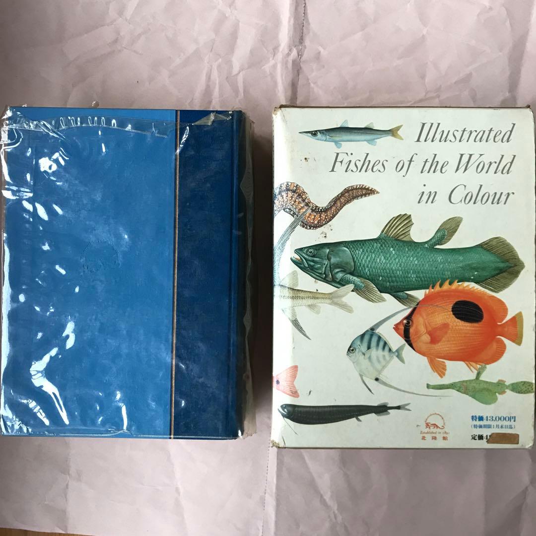 【冬セール】原色魚類大圖鑑