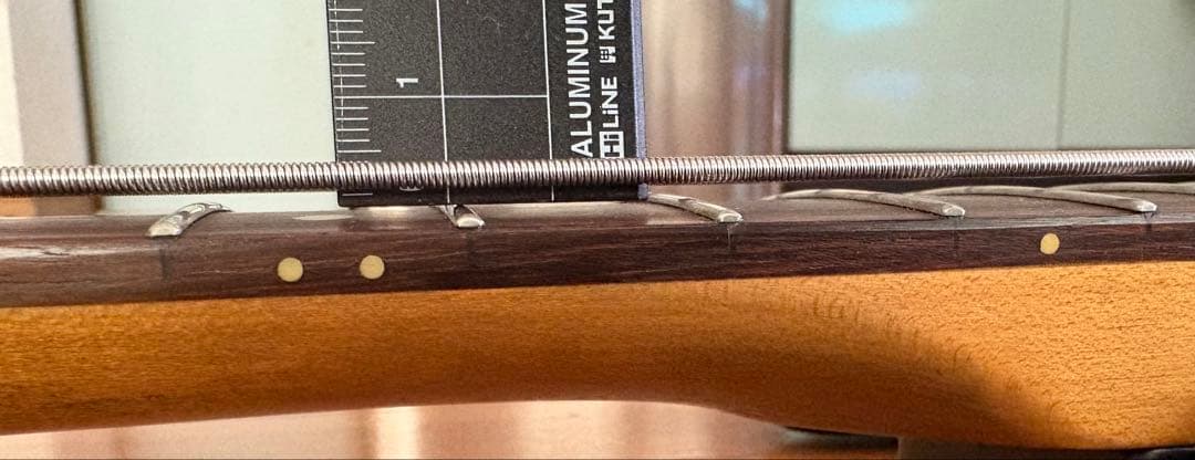 Vintage ICON Series V4 レリック使用