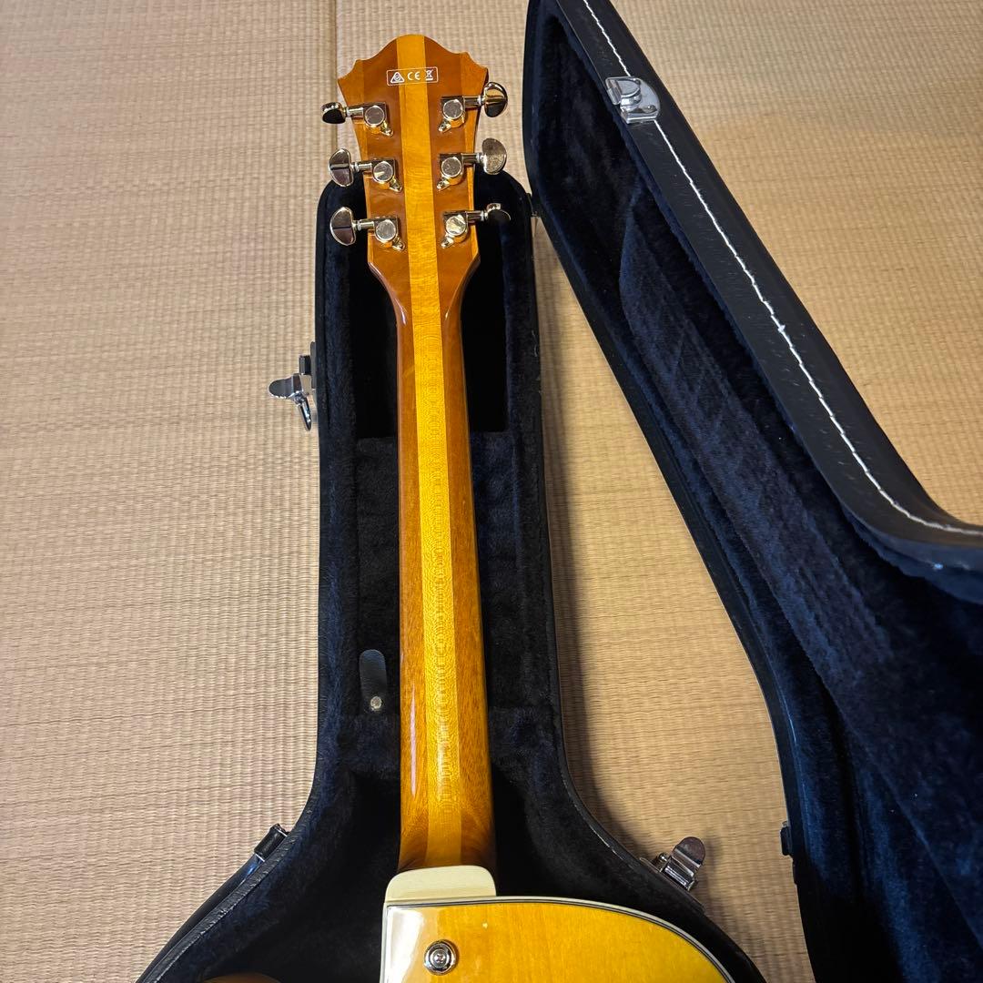 IBANEZ PM 2-AA アイバニーズ　パット　メセニー