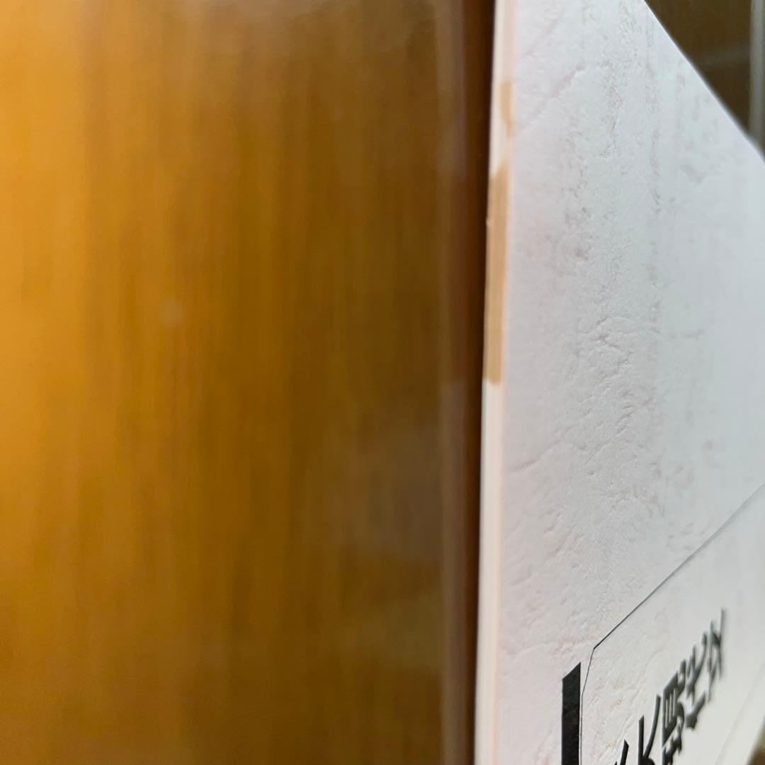 【裁断済み】2025京大現代文テキスト　中野芳樹プリント付き