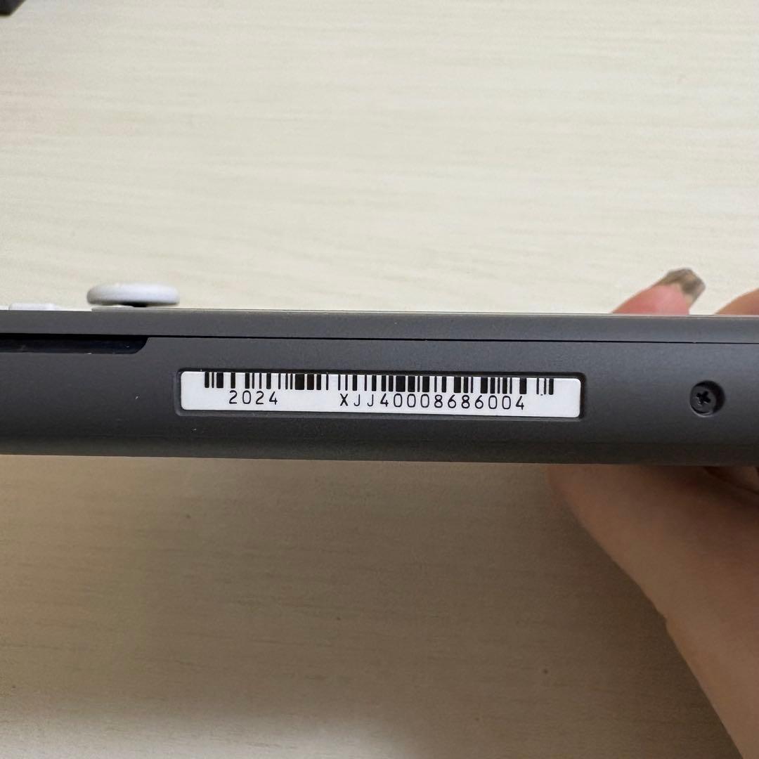 Nintendo Switch Light グレー　本体