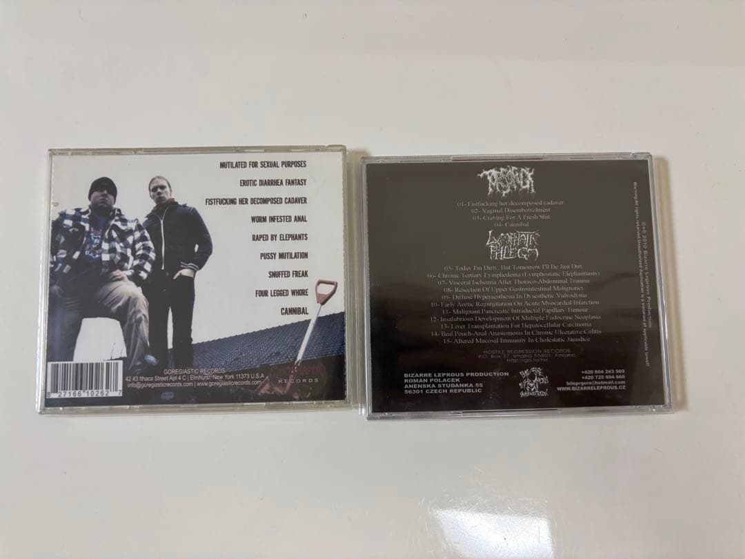 TORSOFUCK ／LYMPHATIC PHLEGM