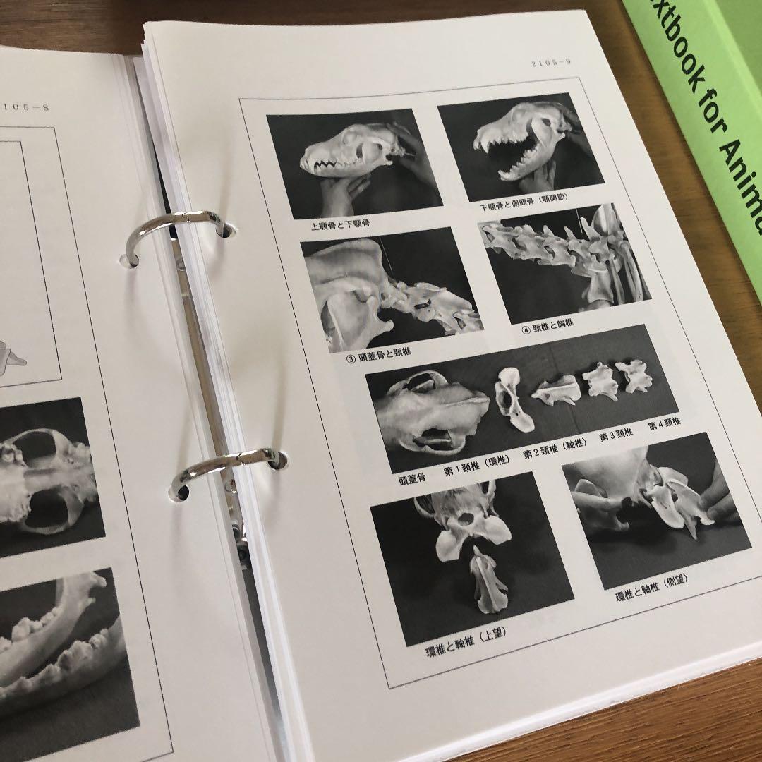 ヒューマンアカデミーのペットホテル開業講座のテキスト一式です。