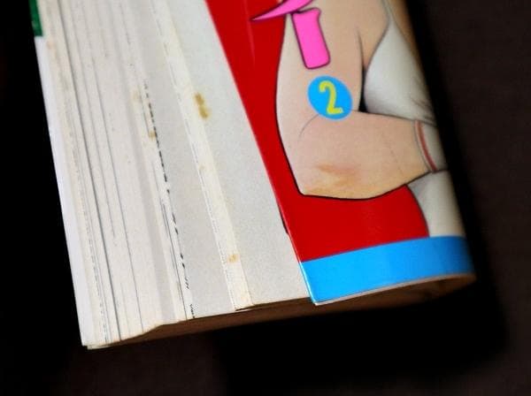 令嬢レスラー　全2巻　中野喜雄　真樹日佐夫　日本文芸社