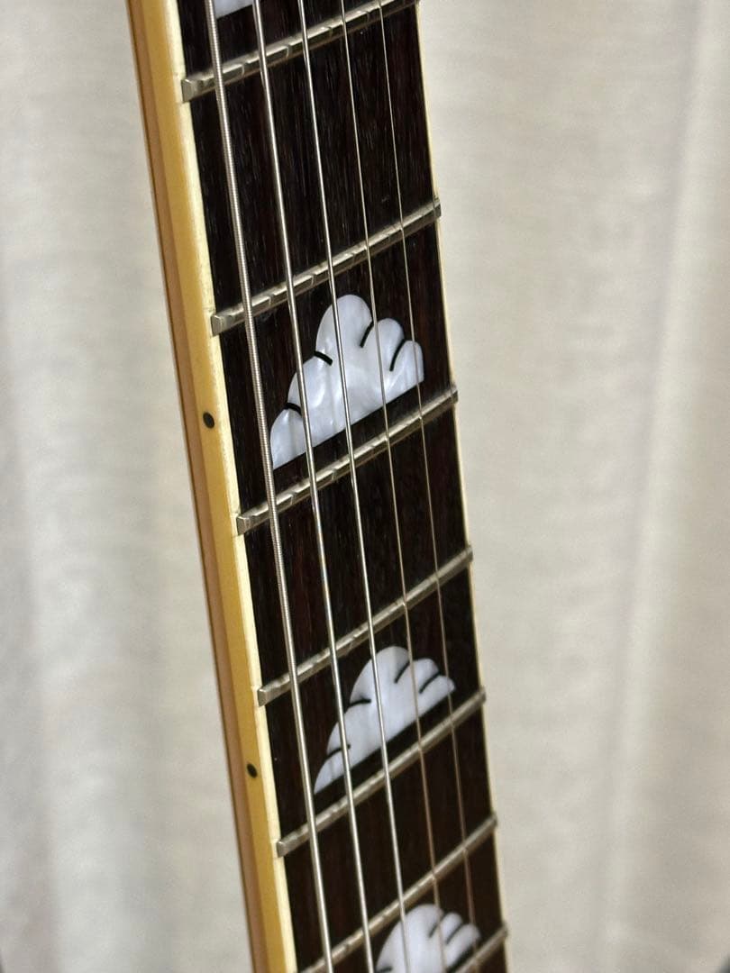 Fernandes BURNY MG-80X （MG-120X）BLK