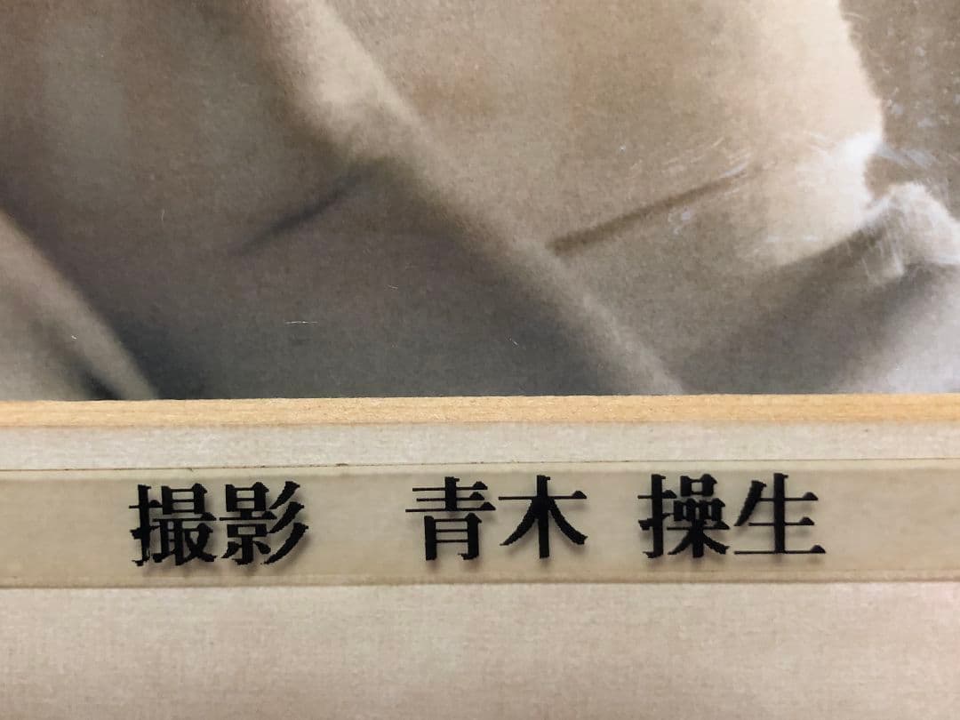 中山美穂　ドラマForYou