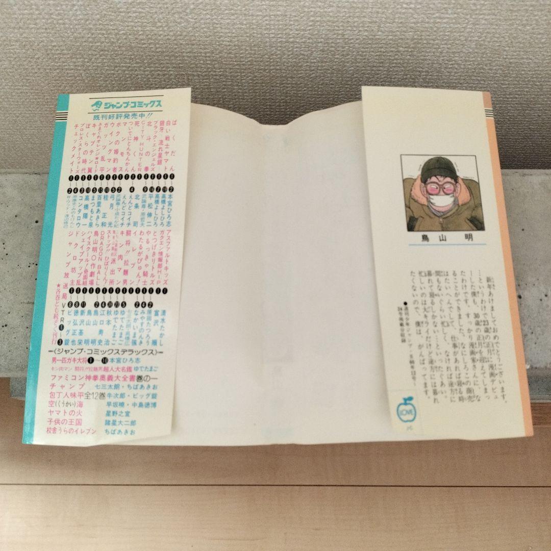 【激レア】ドラゴンボール DRAGON BALL 第2巻 初版 第1刷 鳥山明