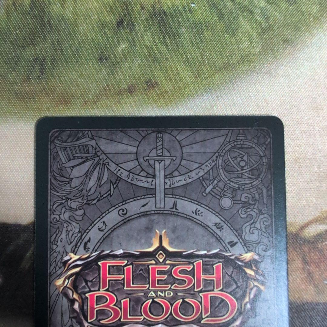 FaB　Scowling Flesh Bag　CF Cold Foil