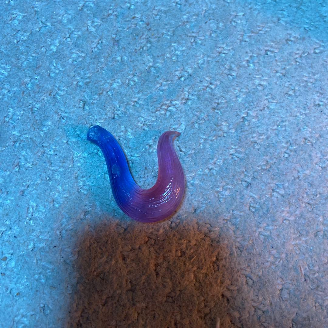 カイドウ pop maximum破損品