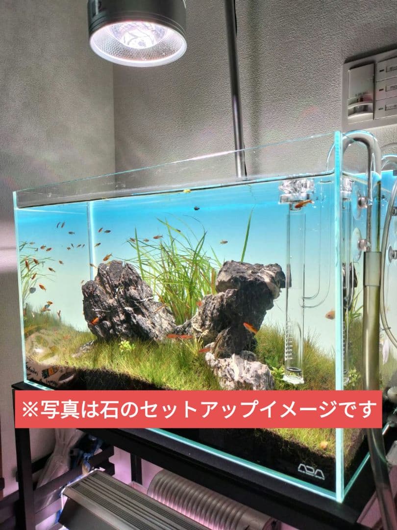 龍王石　4つセット　親石