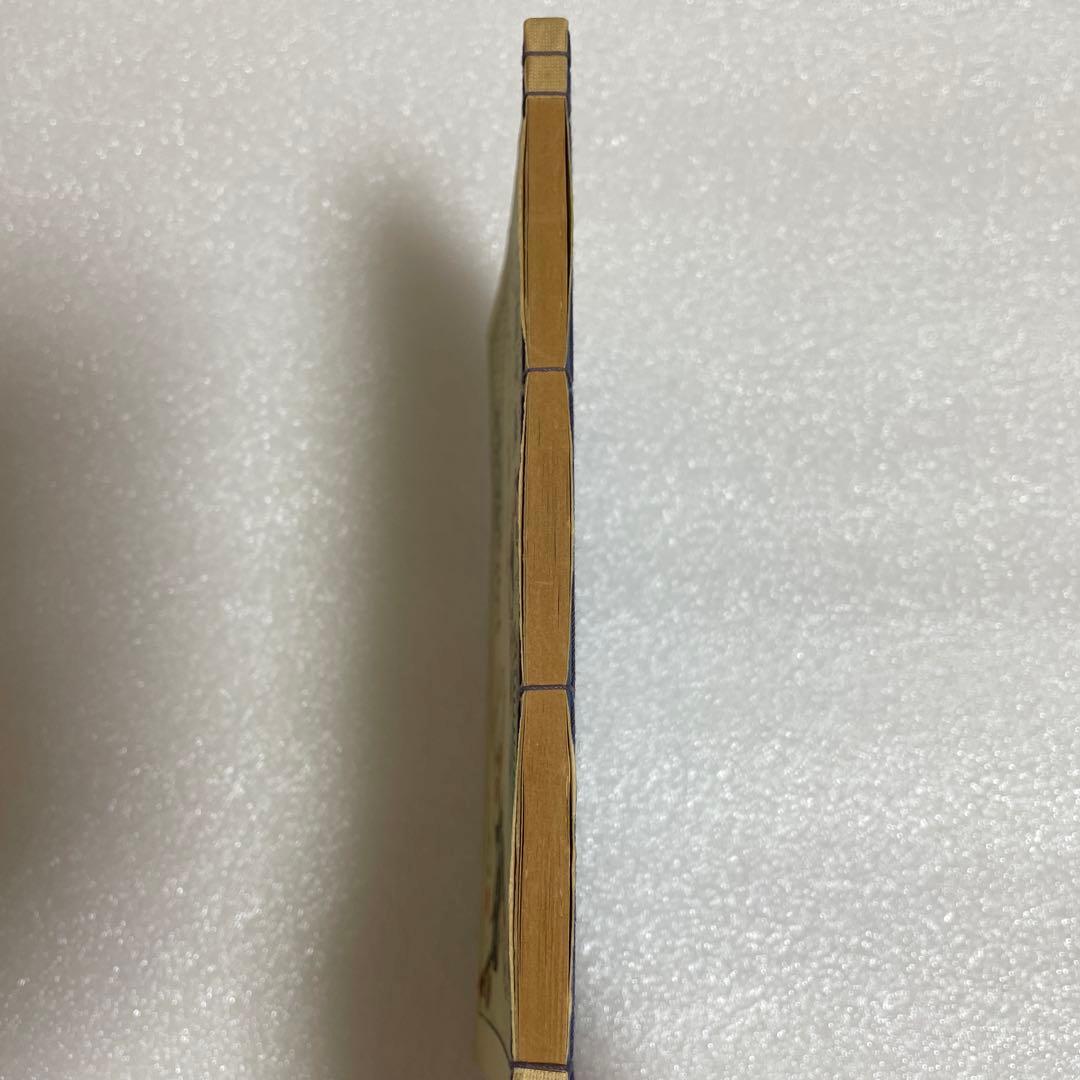 海戦の餘波　泉鏡花　　明治27年　貴重