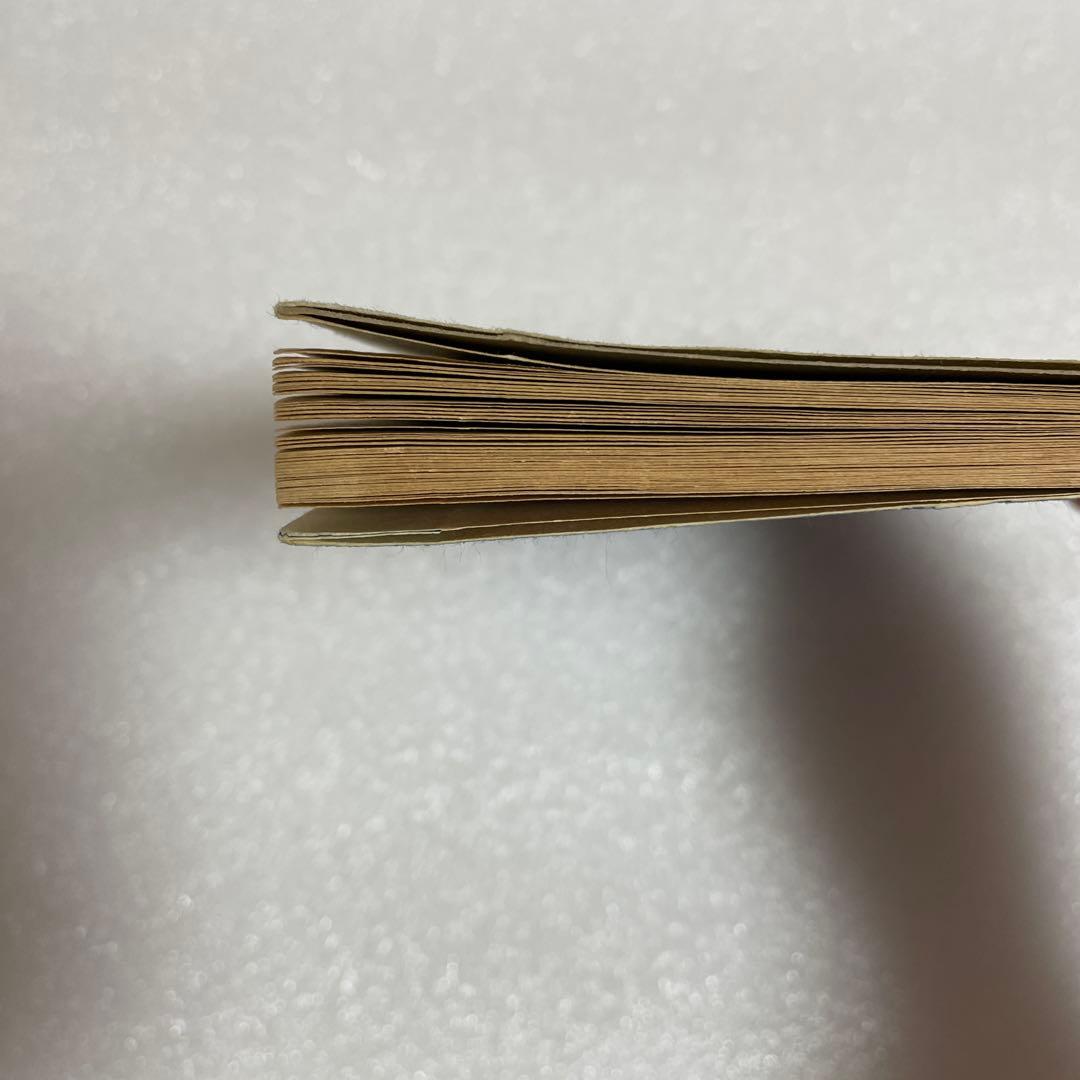 海戦の餘波　泉鏡花　　明治27年　貴重