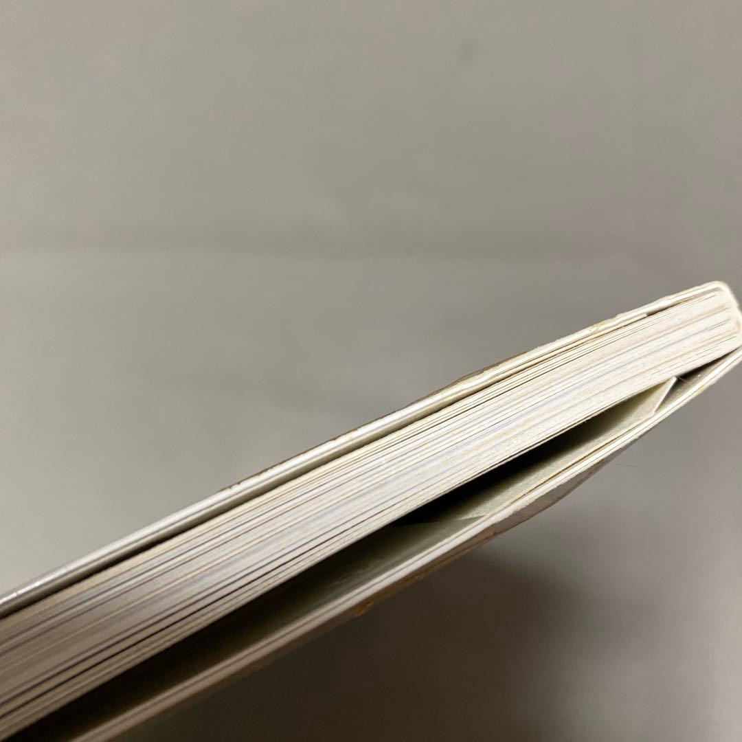 山口晃:Singa-planet