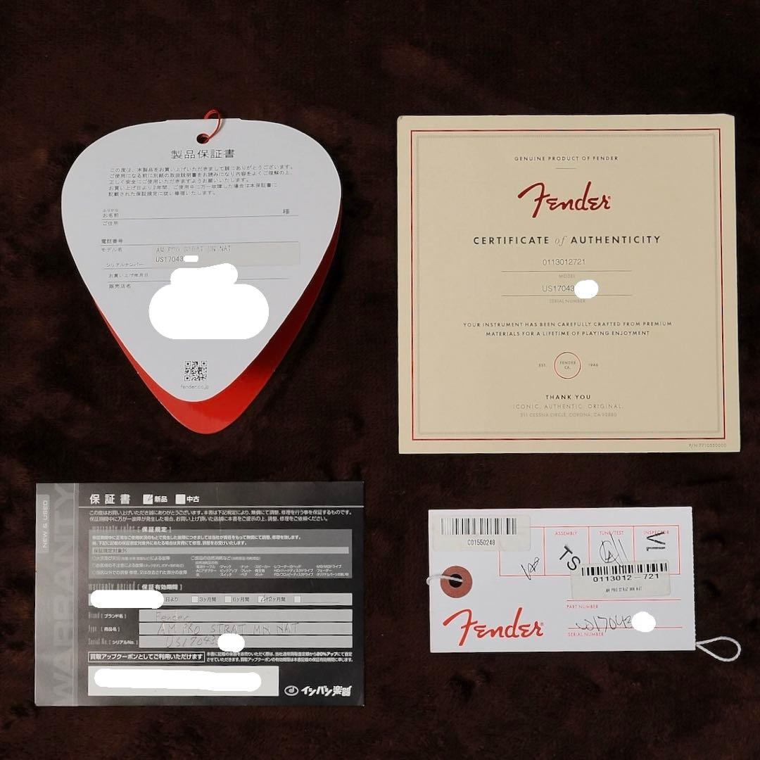 ギター Fender USA American professional ST