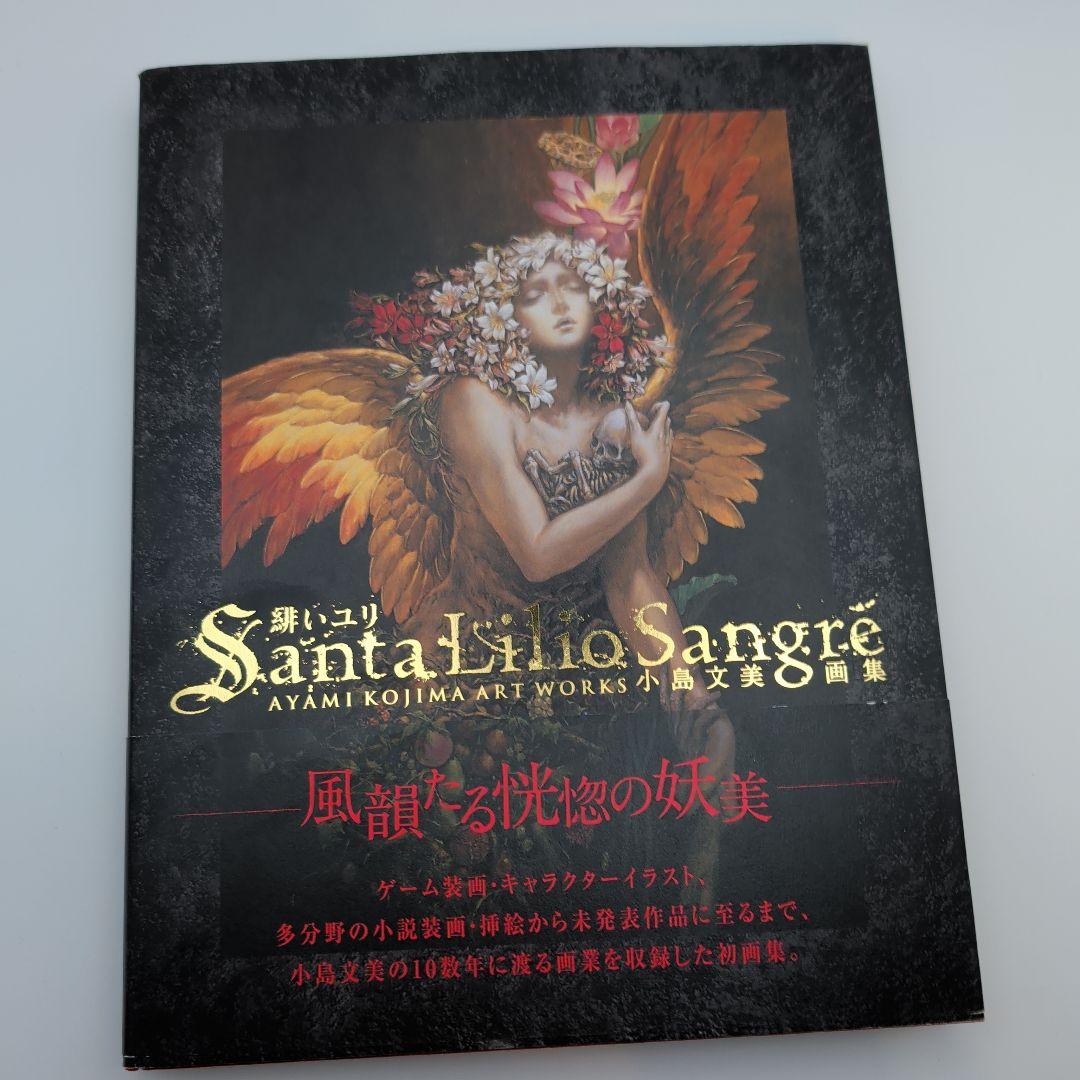 【初版・帯付き】Santa Lilio Sangre 緋いユリ 小島文美画集