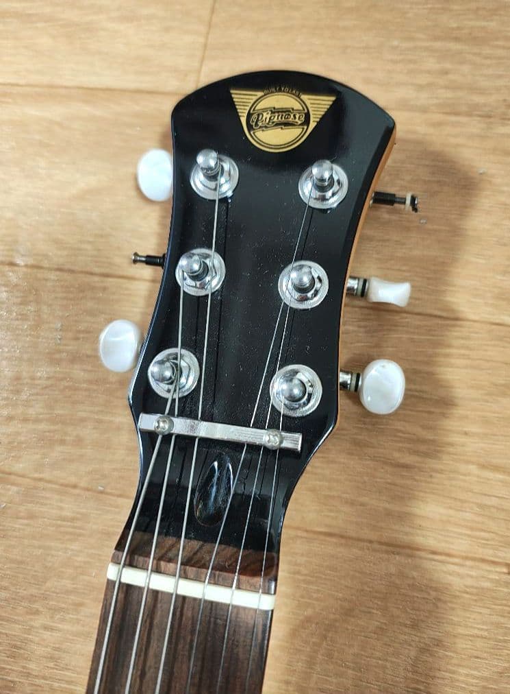 Pignose ピグノーズ PGG-100 アンプ内蔵ギター