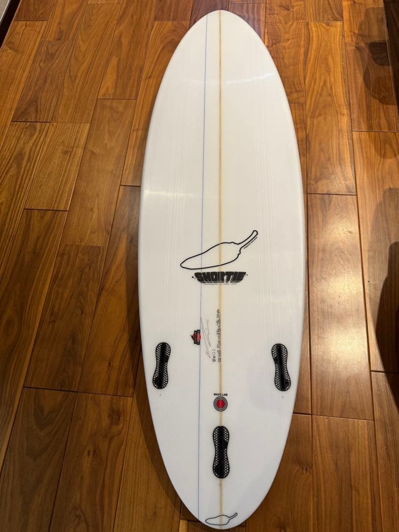 チリ　サーフボード 5'10\" ショーティー