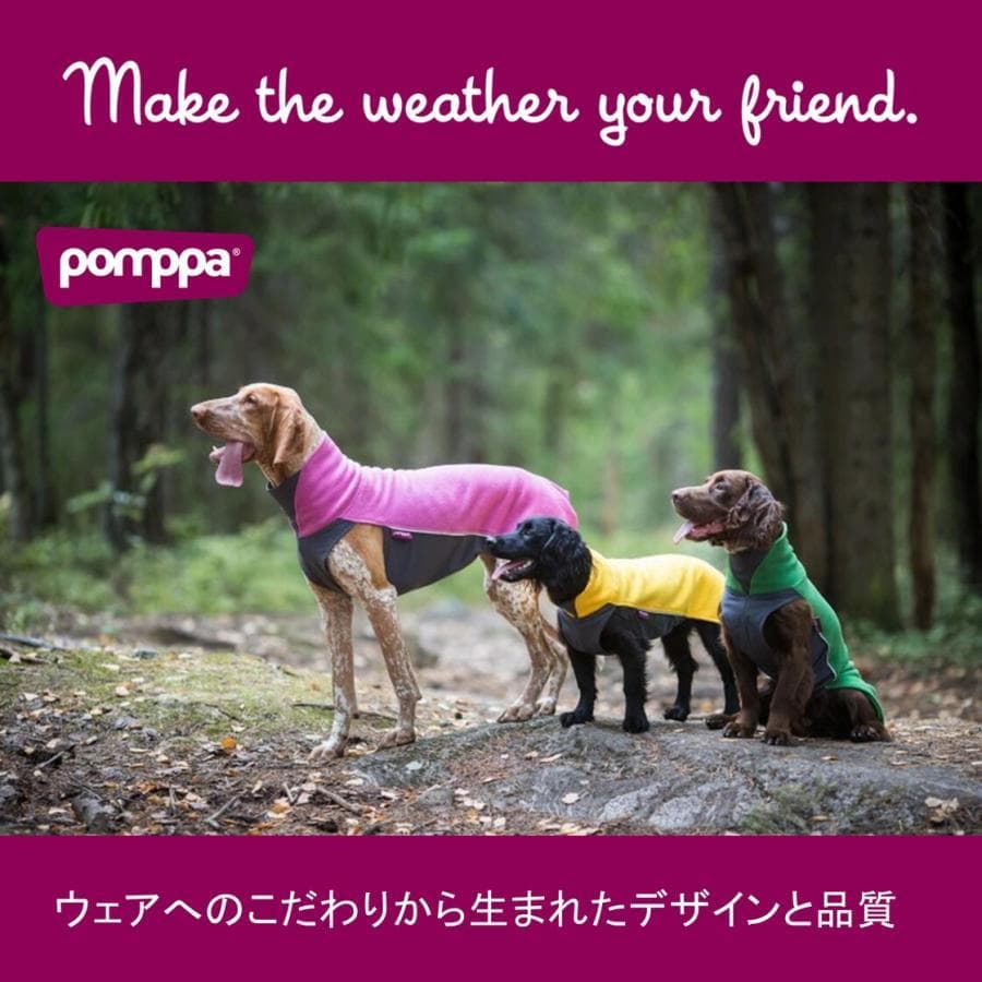 ポムッパ　ペルス　ペトロール　サイズ85